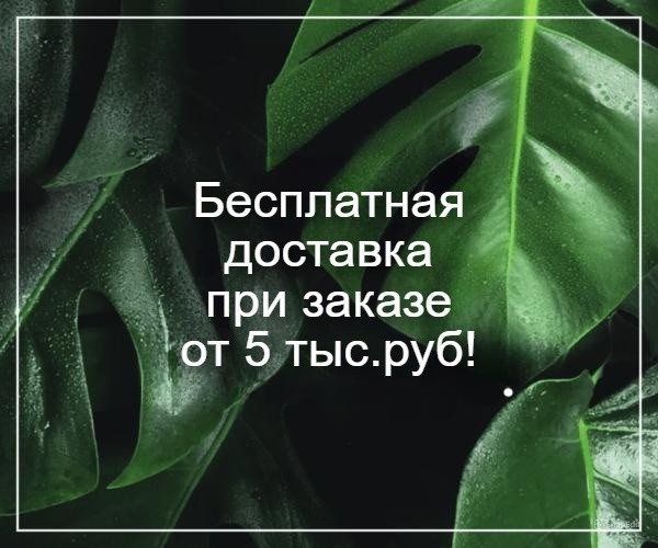 Корзина